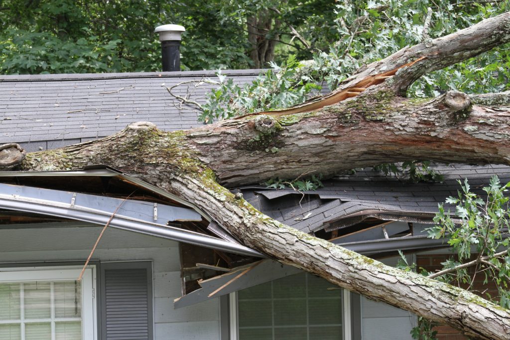 An oak tree toppled onto a home by a storm can be quickly removed by the Lebanon Virginia-based Starnes Communications residential tree services division.