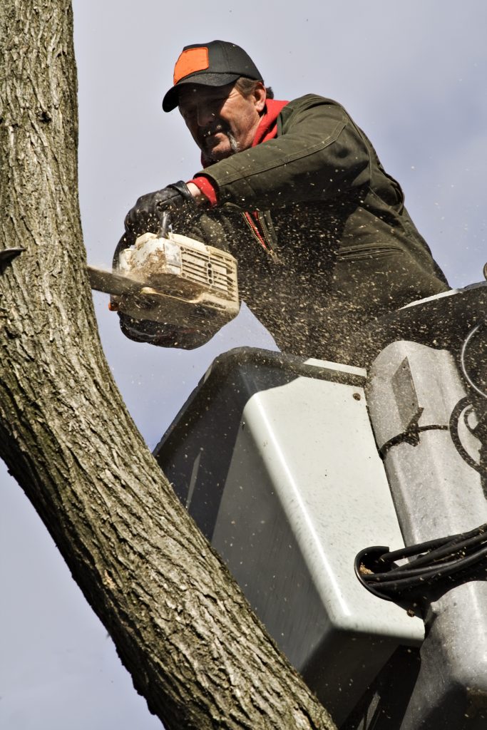 A chainsaw and bucket truck are used by a worker to cut down a tree, which Starnes Communications can do for utility companies, businesses, and homeowners in rural Virginia and Northeast Tennessee.